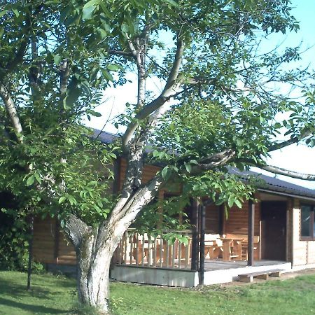 Pod Orzechem Villa Sanok Bagian luar foto