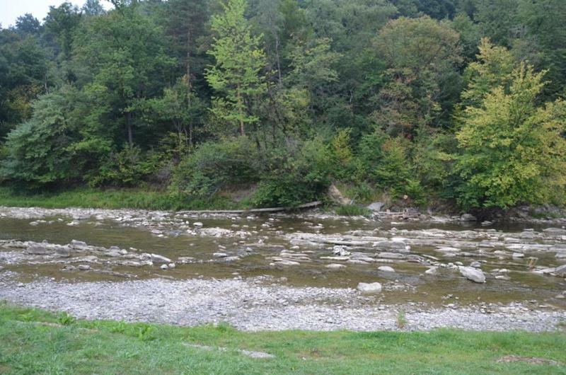 Pod Orzechem Villa Sanok Bagian luar foto