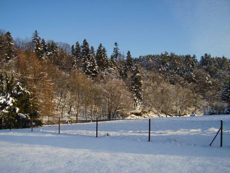 Pod Orzechem Villa Sanok Bagian luar foto